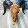 Hand Carved Ram Skull